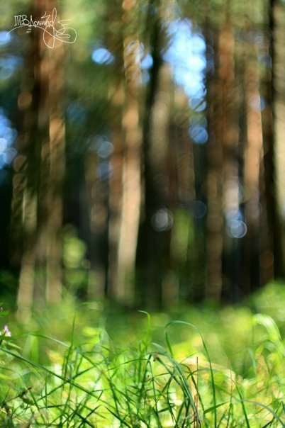 Фотовиставка Тетяни Должко